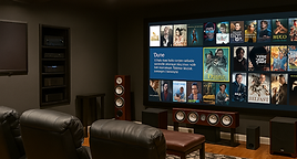 Home-Theater-In-High-Desert-Albuqeruque