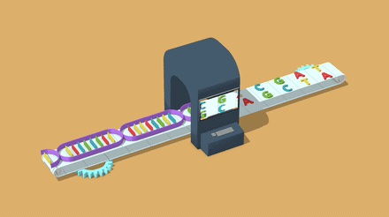 Conveyor Belt.gif