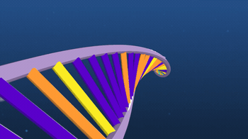 DNA_Labeled_Zone.gif