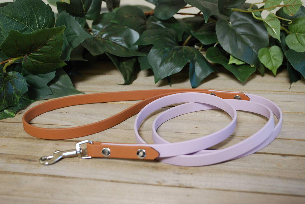 Thumbnail: Design Your Own Two-Tone Leash