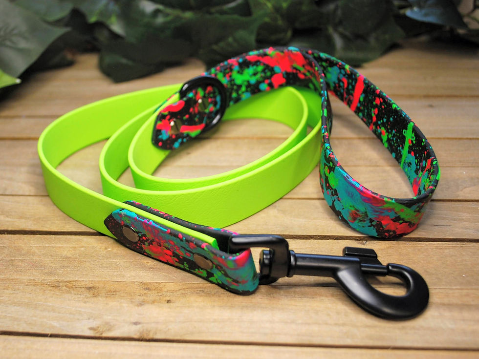 Thumbnail: Design Your Own Splatter Leash