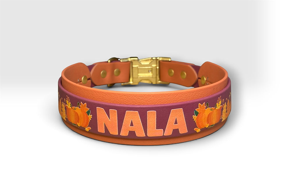 Thumbnail: Fall Collar