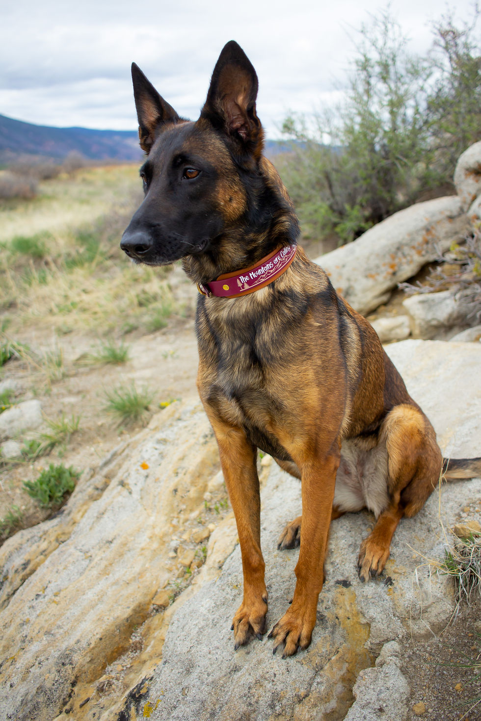 Thumbnail: Adventure Double Layer Collar