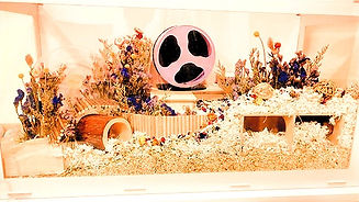 117084158_3395929910428815_1633542364645