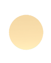GENERATE SIMPLE FLAT CIRCLE IN CHAMPAGNE
