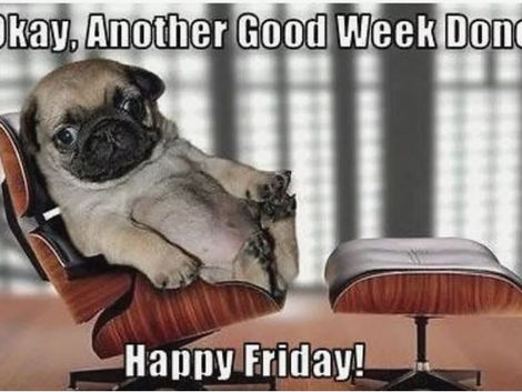 Week in Review: June 8-12