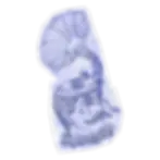 T50.webp