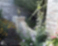 Wing Wall 2
