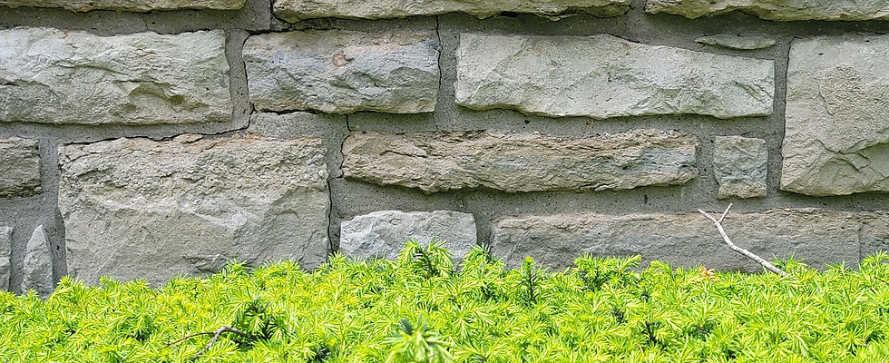 Grouting Stone Wall Repair_edited.jpg