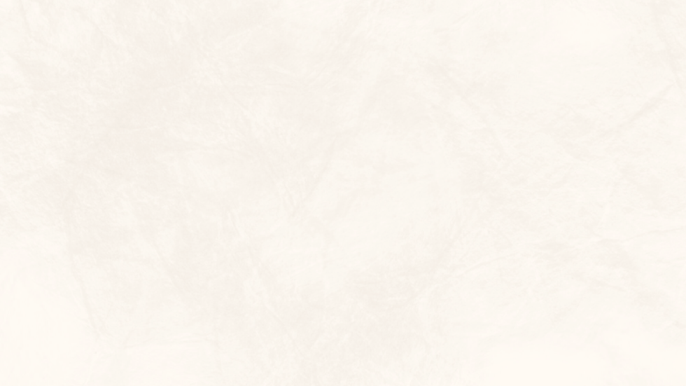fundo (1).png