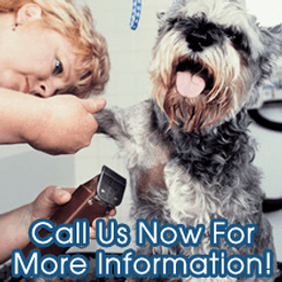 Ackley Veterinary Center