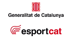 Consell Català de l'Esport