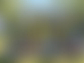 Campionat d'Espanya Joves Promeses a Sabero.