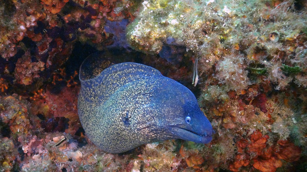 DSC00672