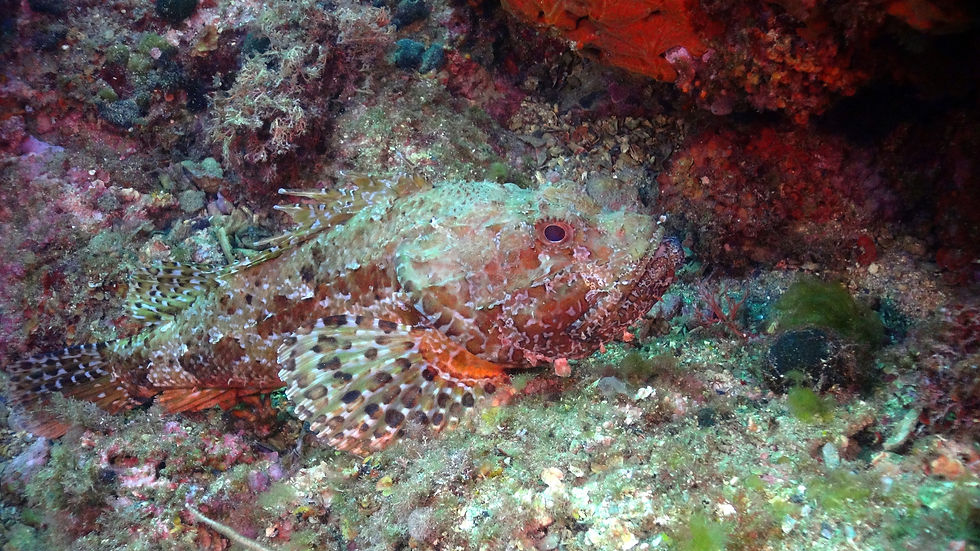 DSC00680