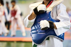 Tae Kwan Do Hands