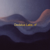 Dedalus Labs