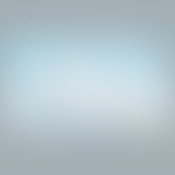 Parallel Web Systems