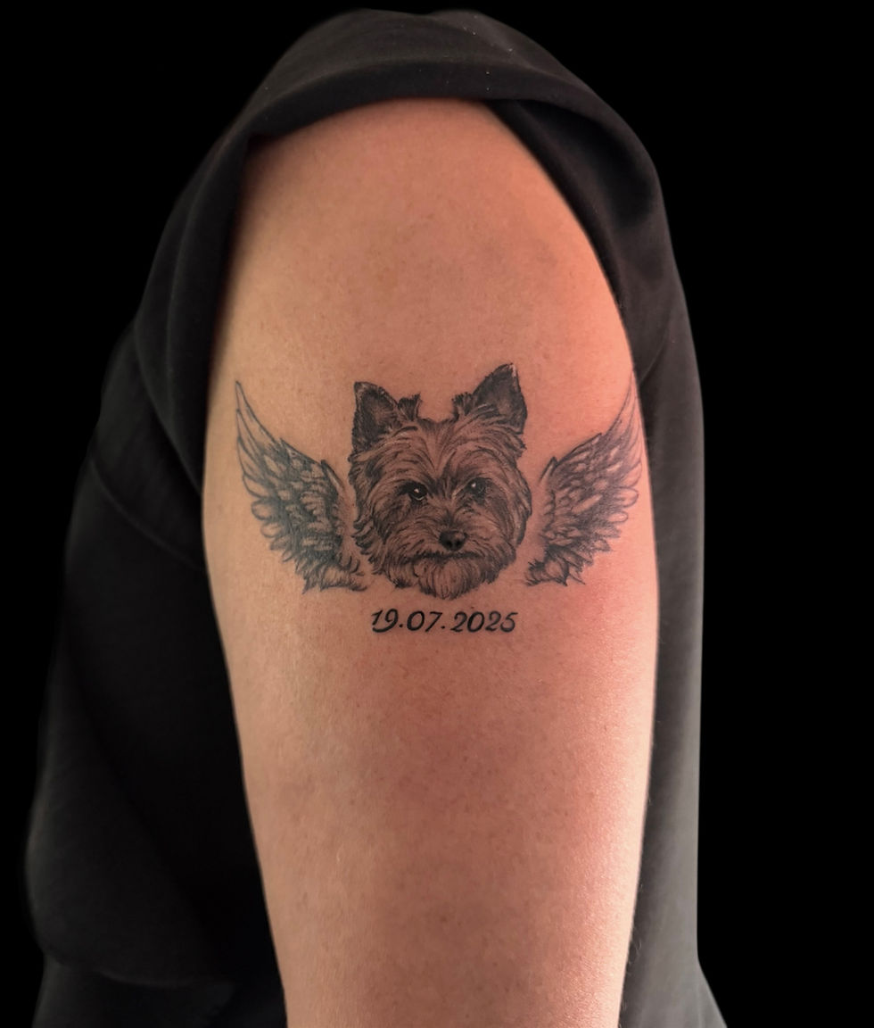 Memorial dog portrait, by Domi