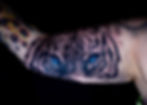 Realistic black and grey tiger tattoo with blue eyes, by Dagga