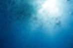 Water_edited.jpg