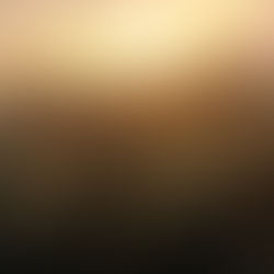 Romans 11 and God's Plan for Ethnic Israel (Lesson 10.8)