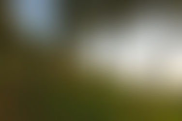 The Reign of Solomon (Lesson 9.1)