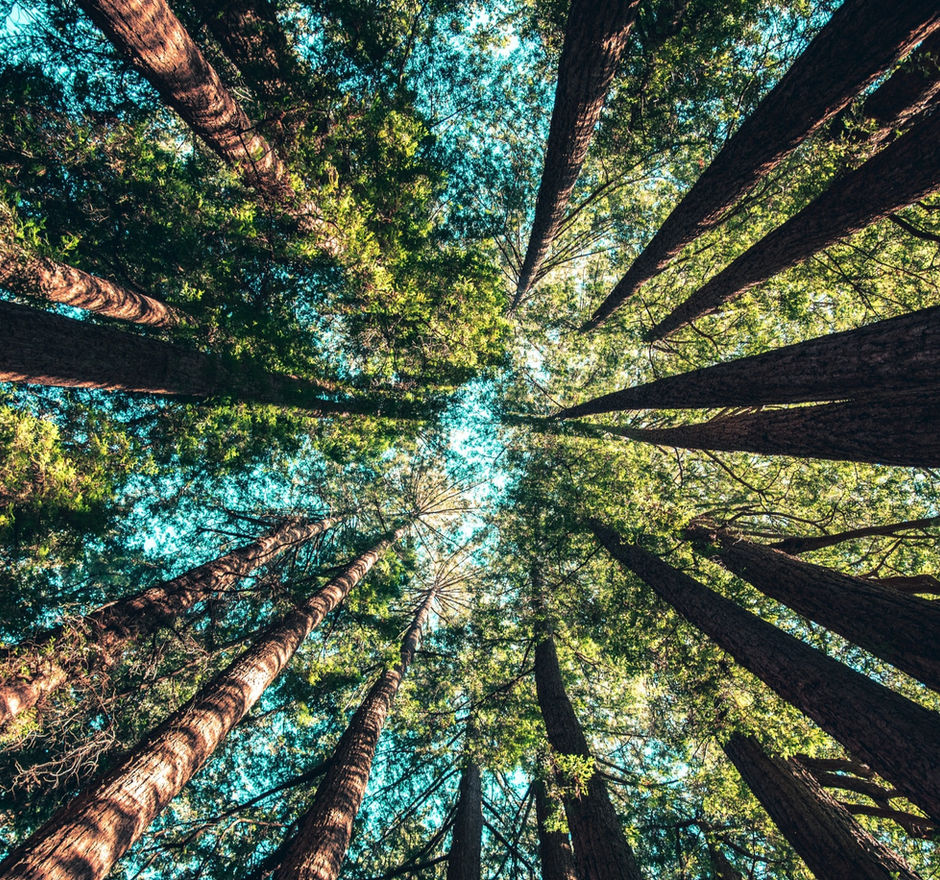 An Overview of Covenant Theology (Lesson 1.4)