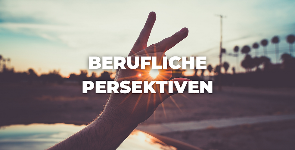 Berufliche Perspektiven.png