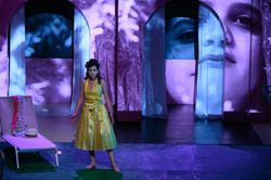 L'ocassione fa il ladro - Anna Ponces