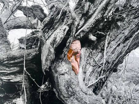 Unsettled Ground - Portals Revisited