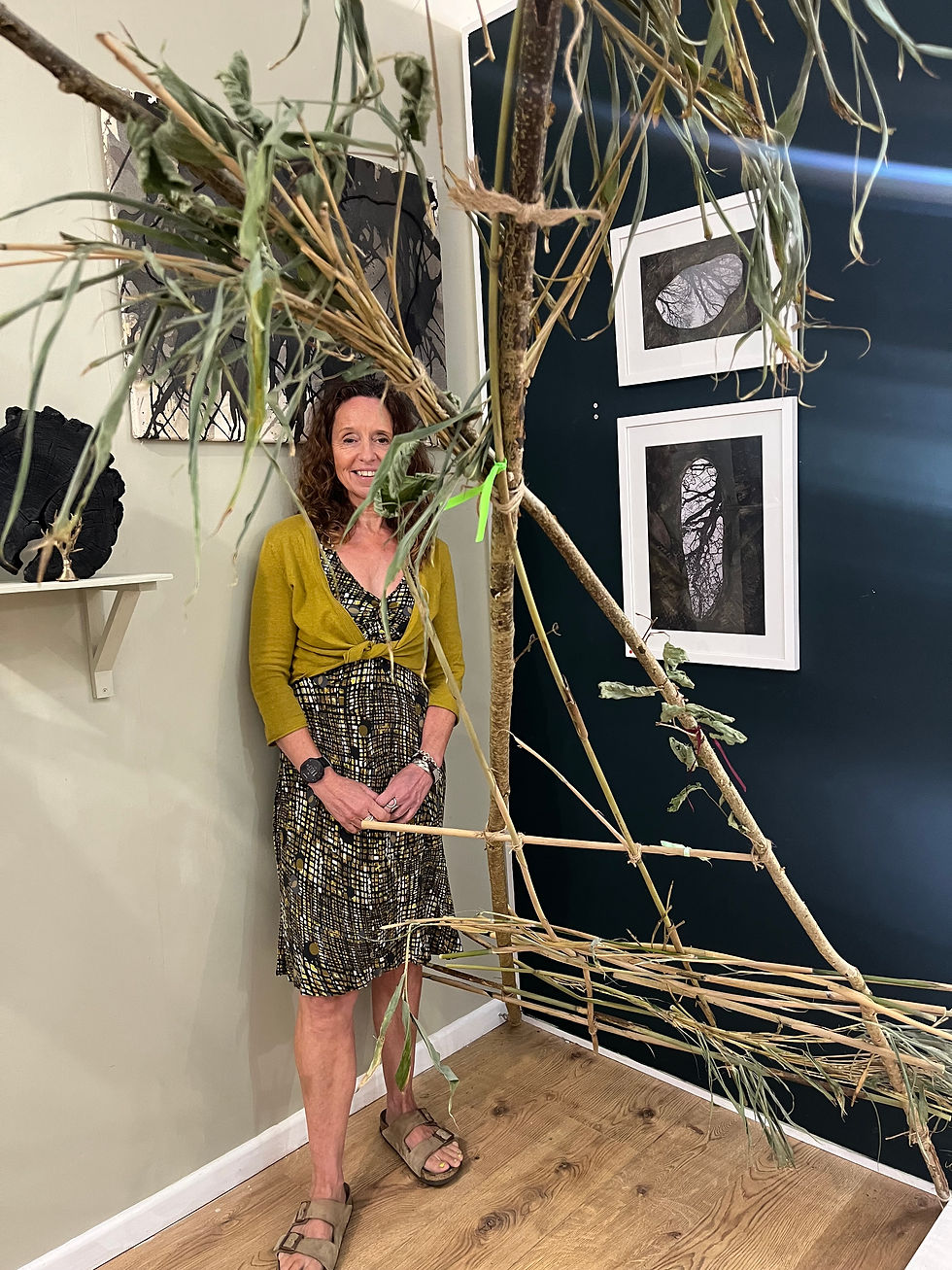 Treeology - A reflection on my work in situ