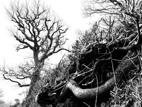 Black and White Photography as a Starting Point for New Work