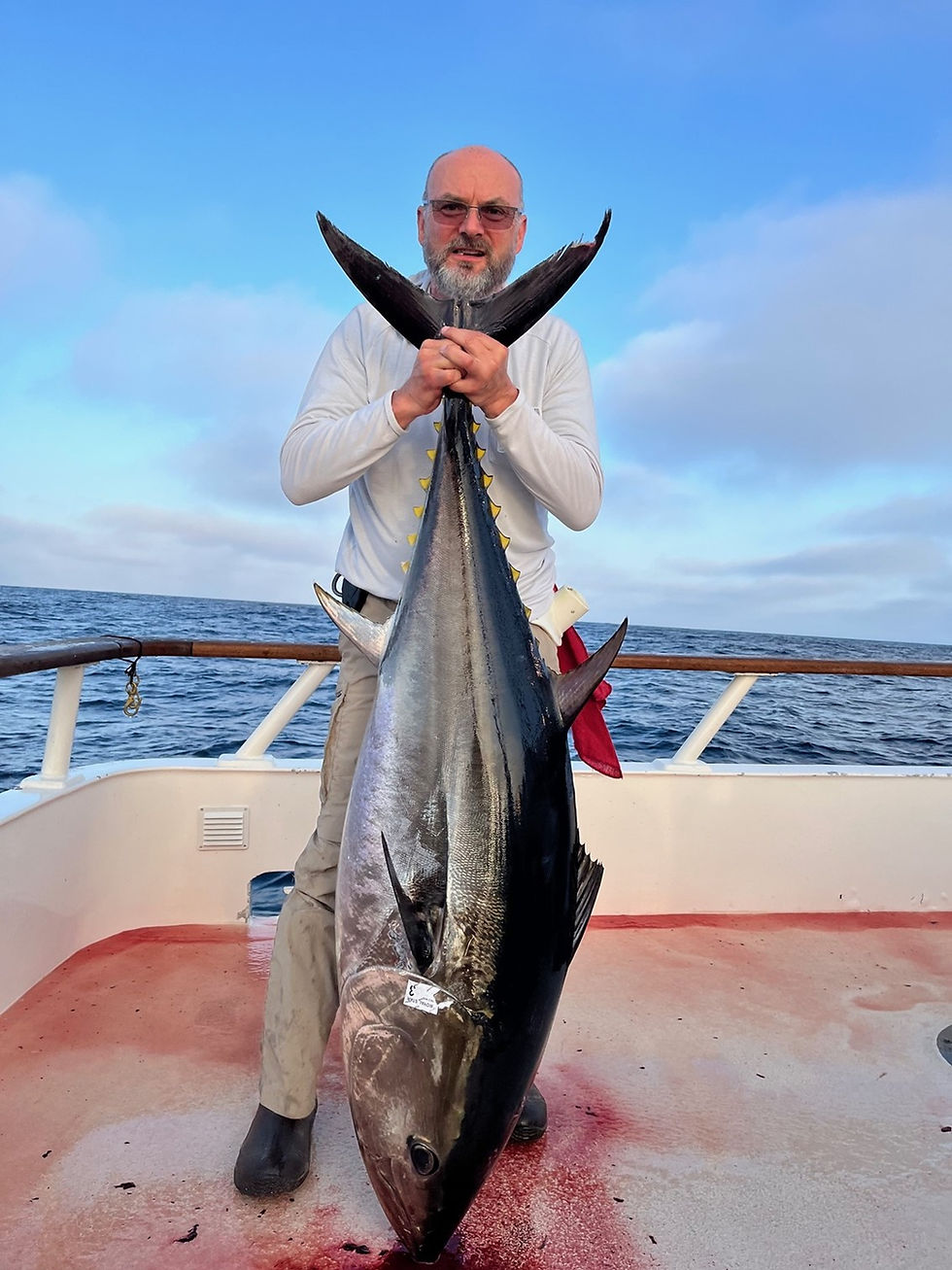 Bluefin.jpg