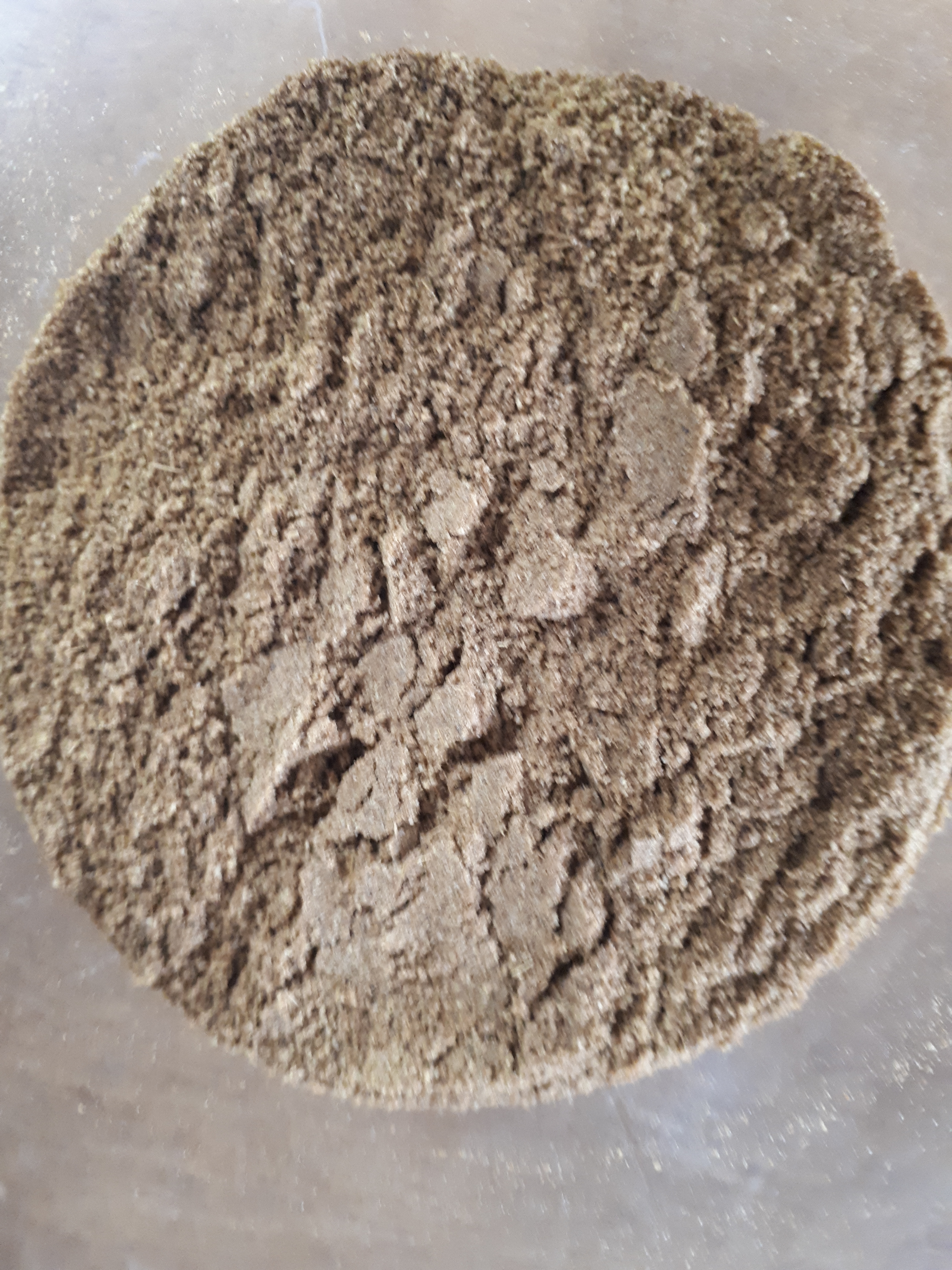 Cumin bio