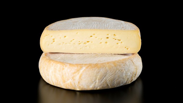 Fromage Alderney