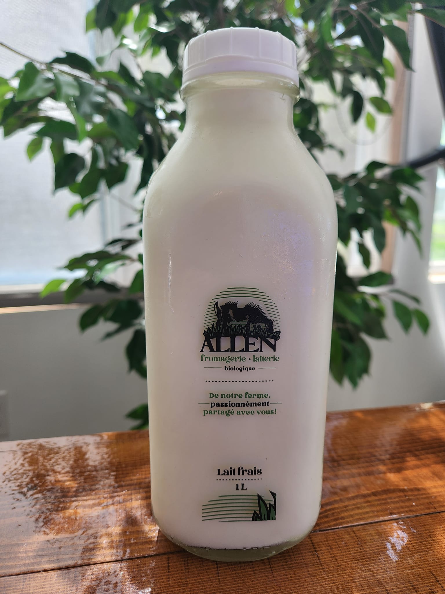 Lait frais bio