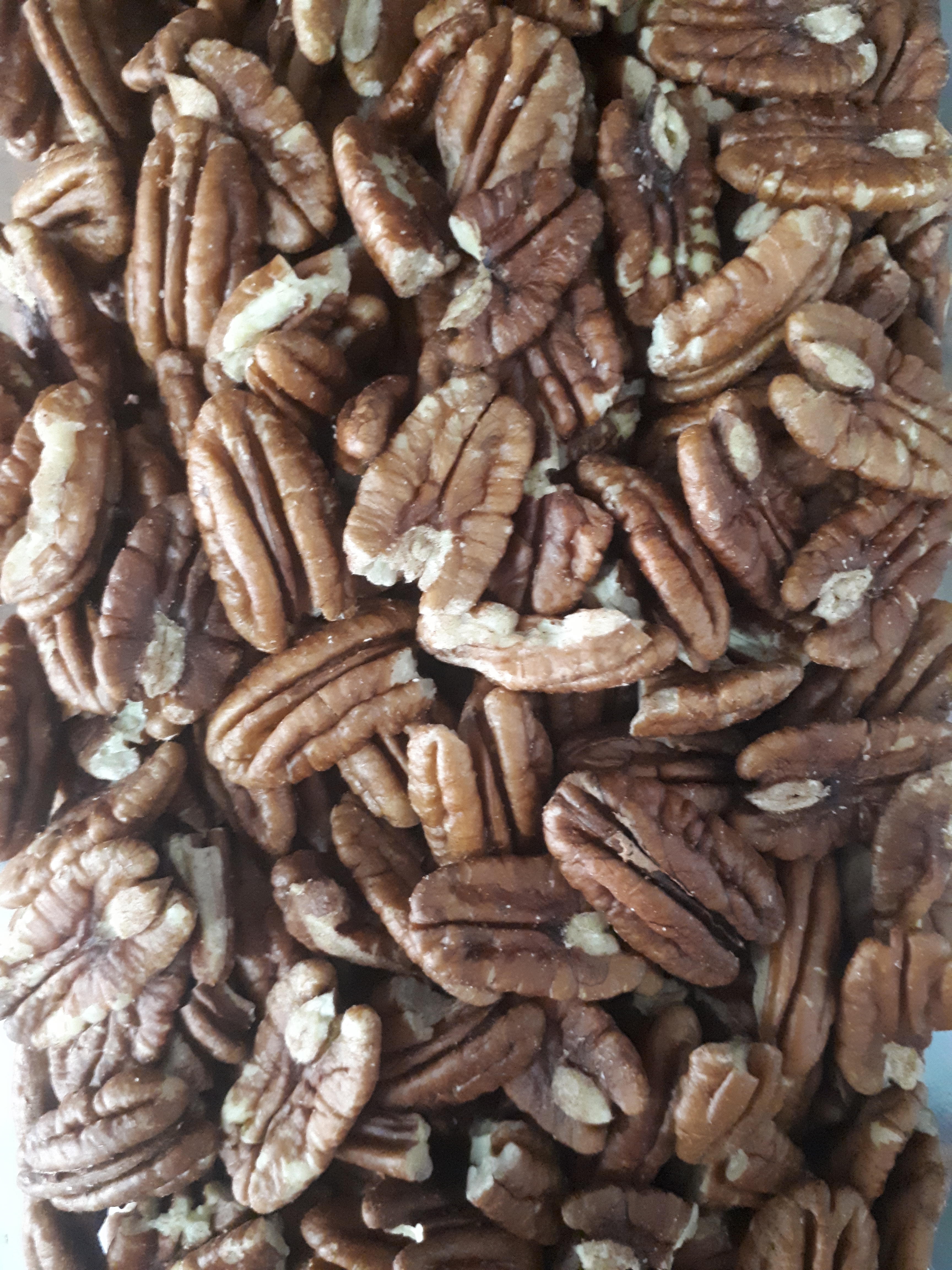 Pacanes bio