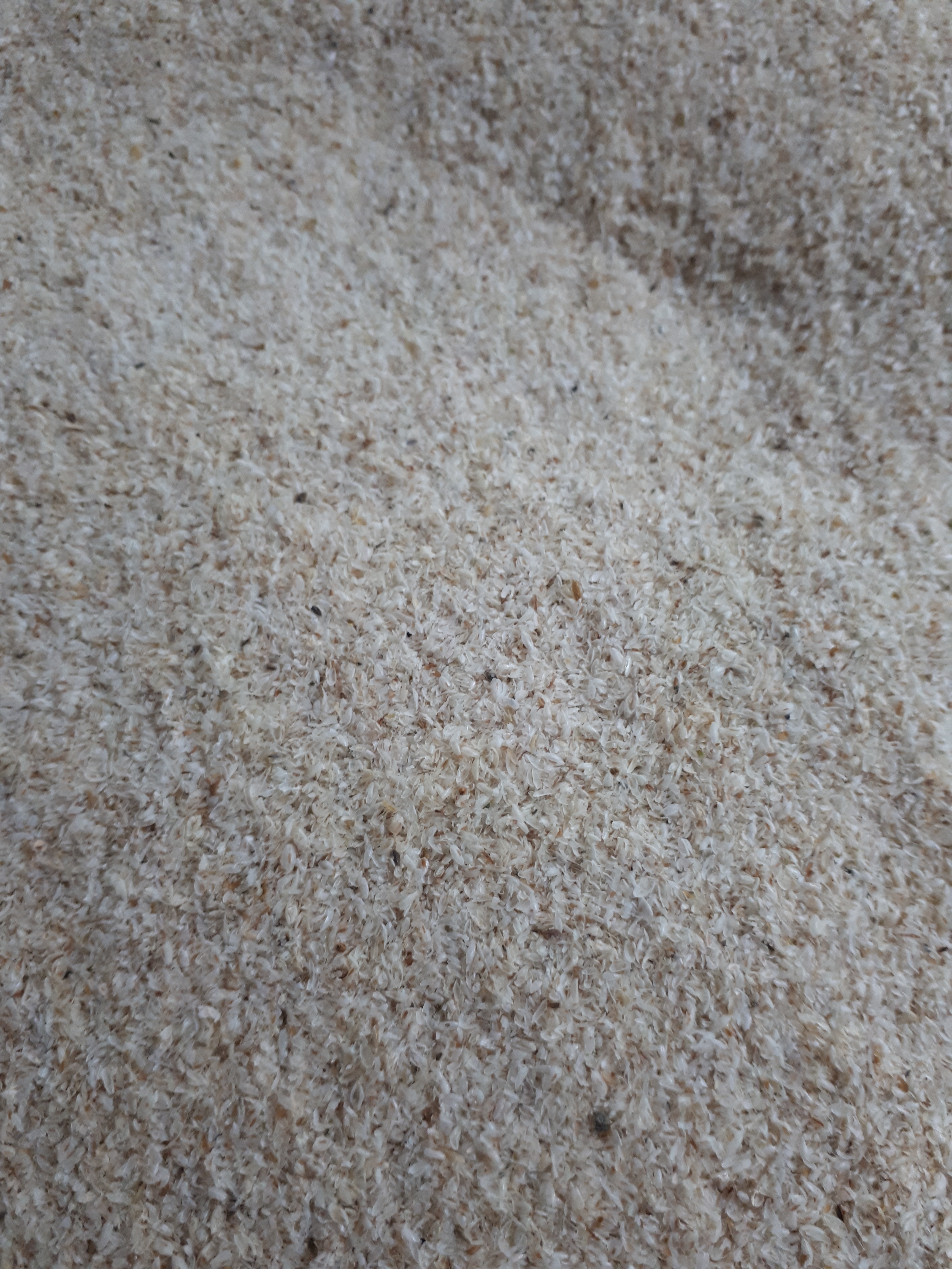 Enveloppes de psyllium bio