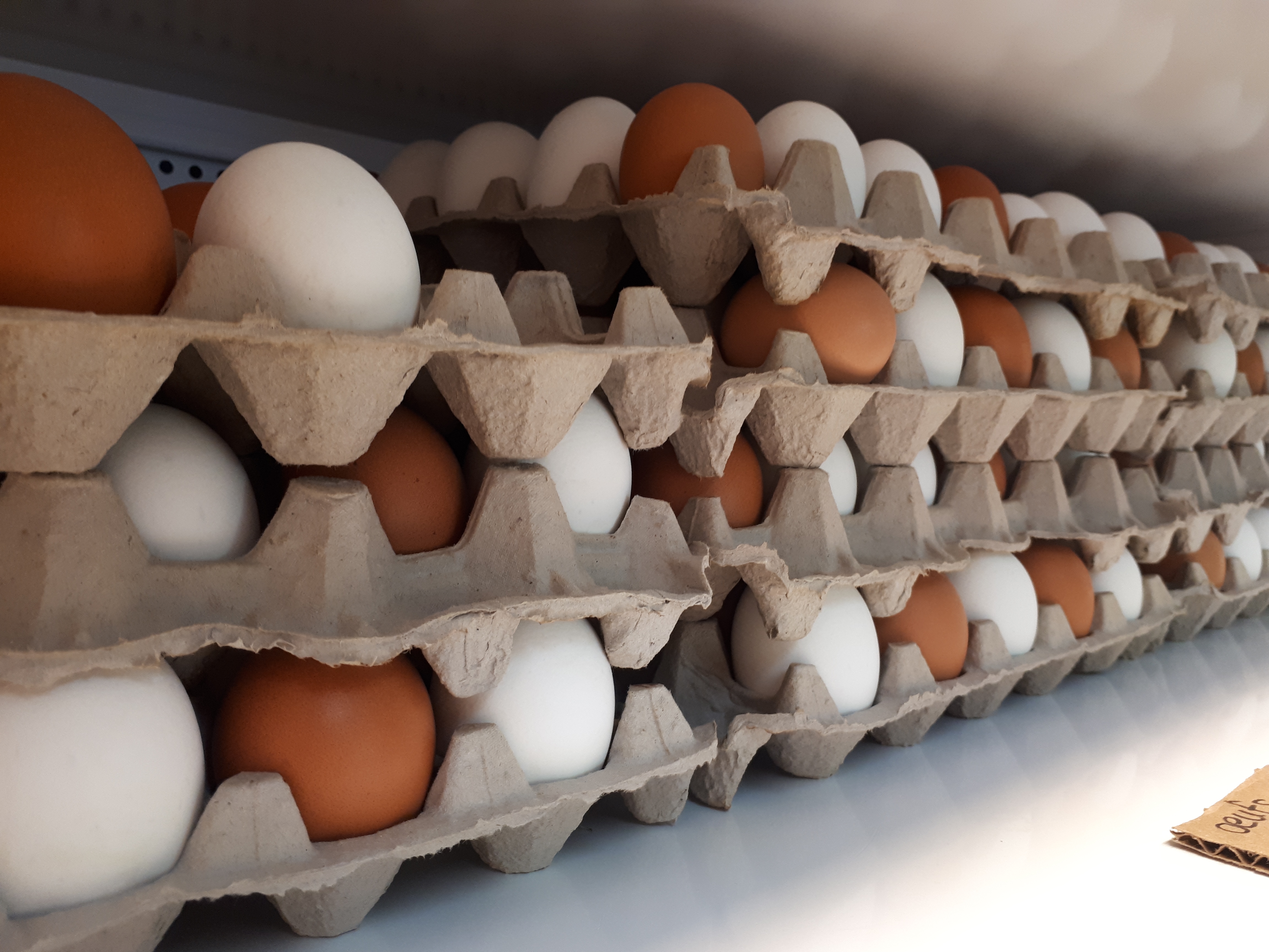 Oeufs