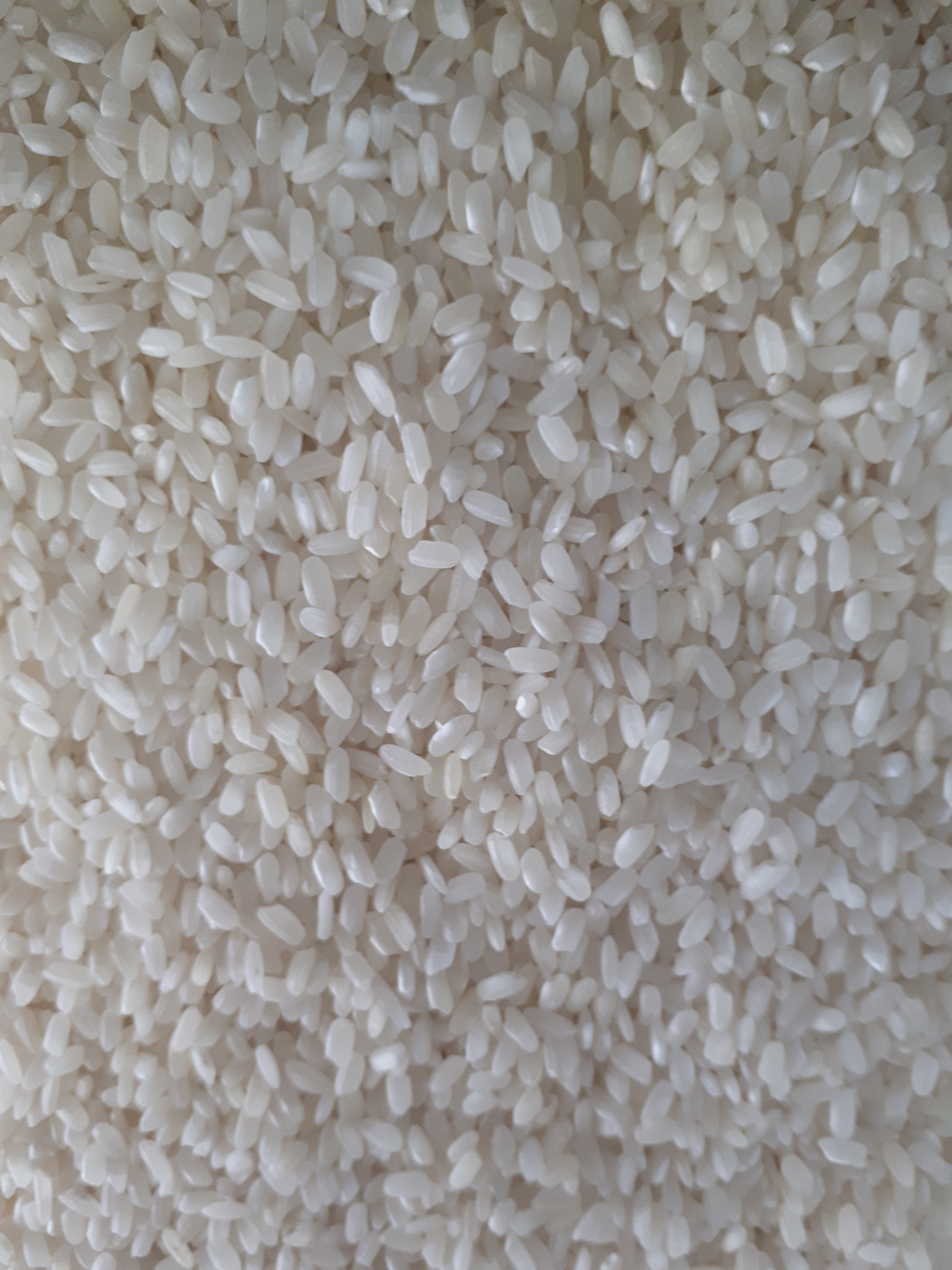 Riz arborio bio (risotto)
