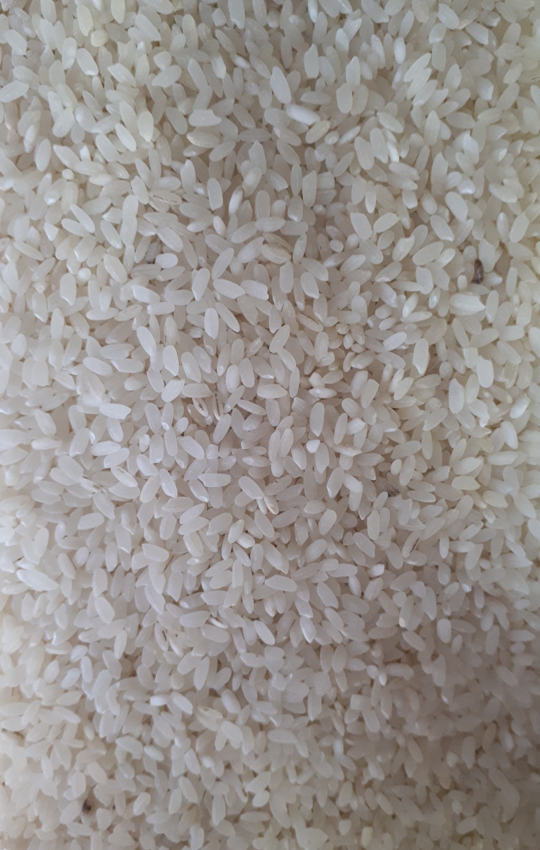 Riz à sushi (Calrose)