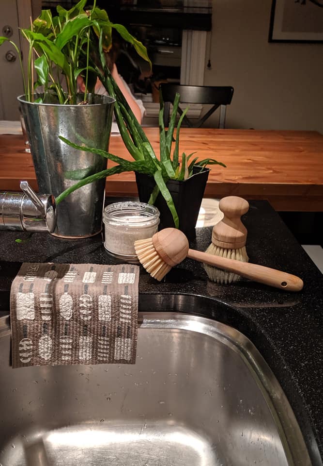 Brosse à vaisselle (Eco Human)