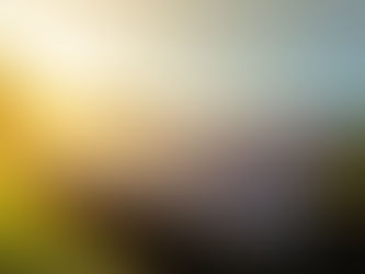 Our Vision..