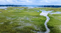 IMG_8850.JPG