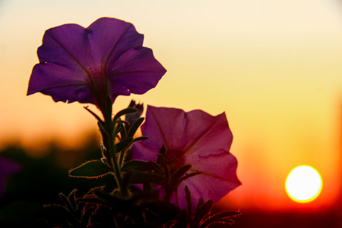 IMG_2337-Edit.jpg