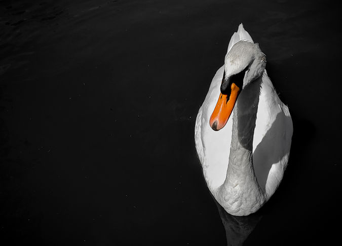 20200902_145702.jpg