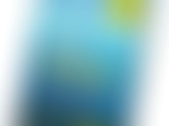 Blue or Red: A Review of Blue Ocean Strategy by W. Chan Kim and Renée Mauborgne