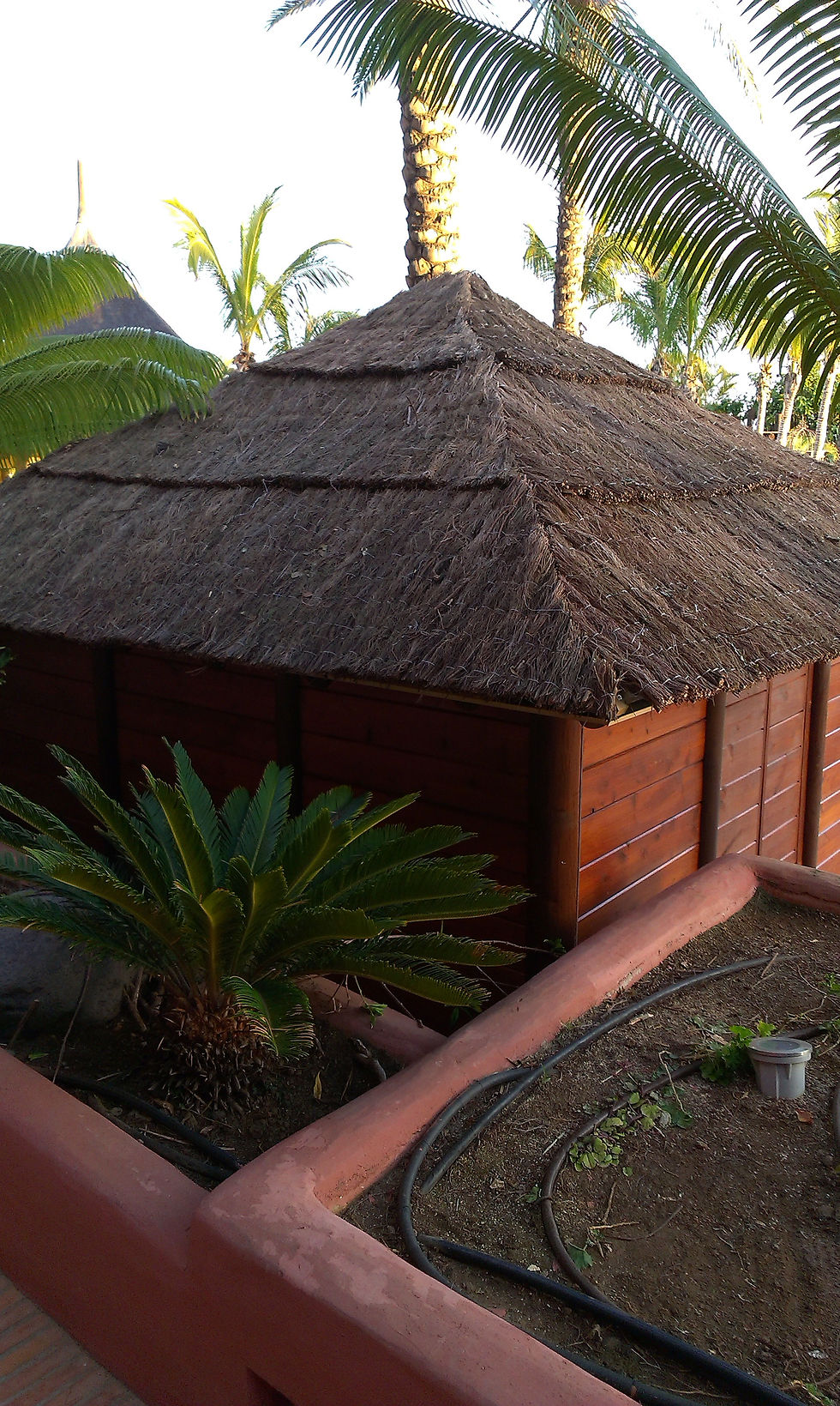 Caseta de madera con techo en brezo