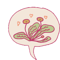 AMOR POR LAS PLANTAS